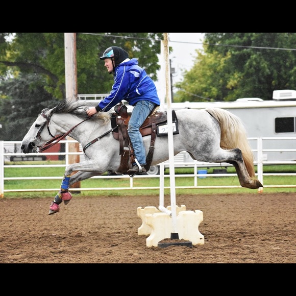 Meet your Posher, Calli - Picture 1 of 1